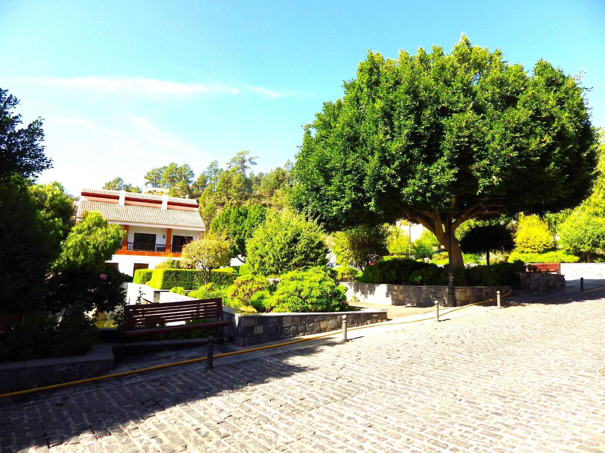 Bed and Breakfast Ziggys Mountain Retreat (Adults Only) Vilaflor Zewnętrze zdjęcie